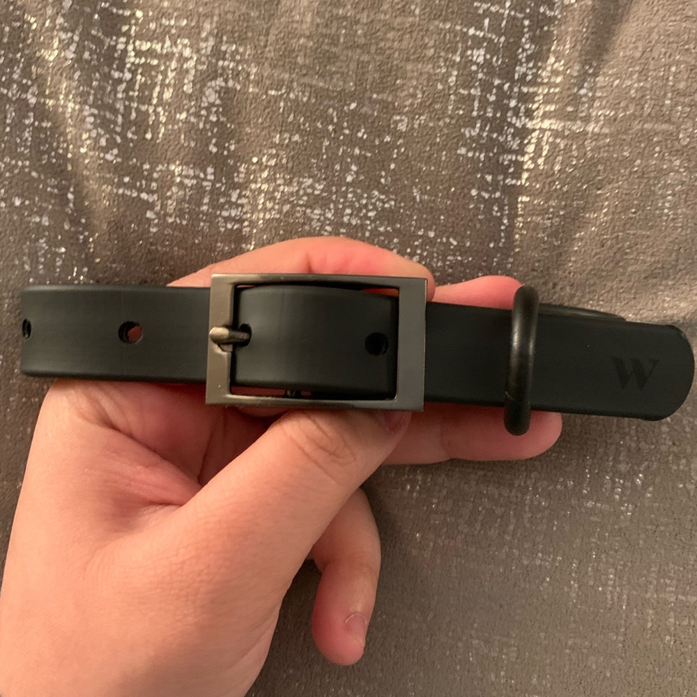 Wild One small Dog collar